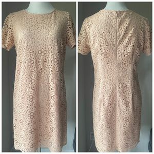 Ann Taylor Petite Pink Lace Dress